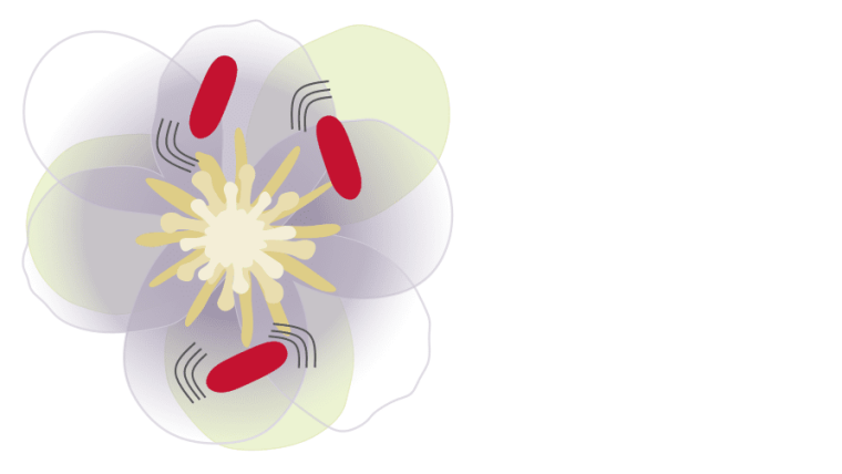 Logo chemical ecology