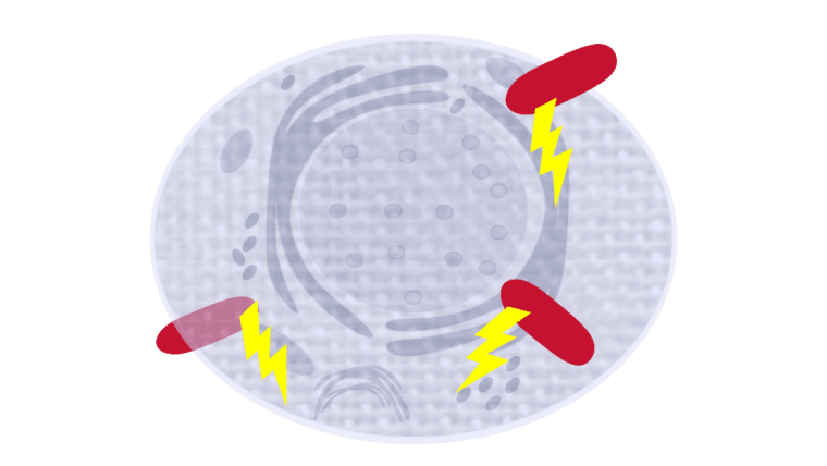 Pathogenesis Icon